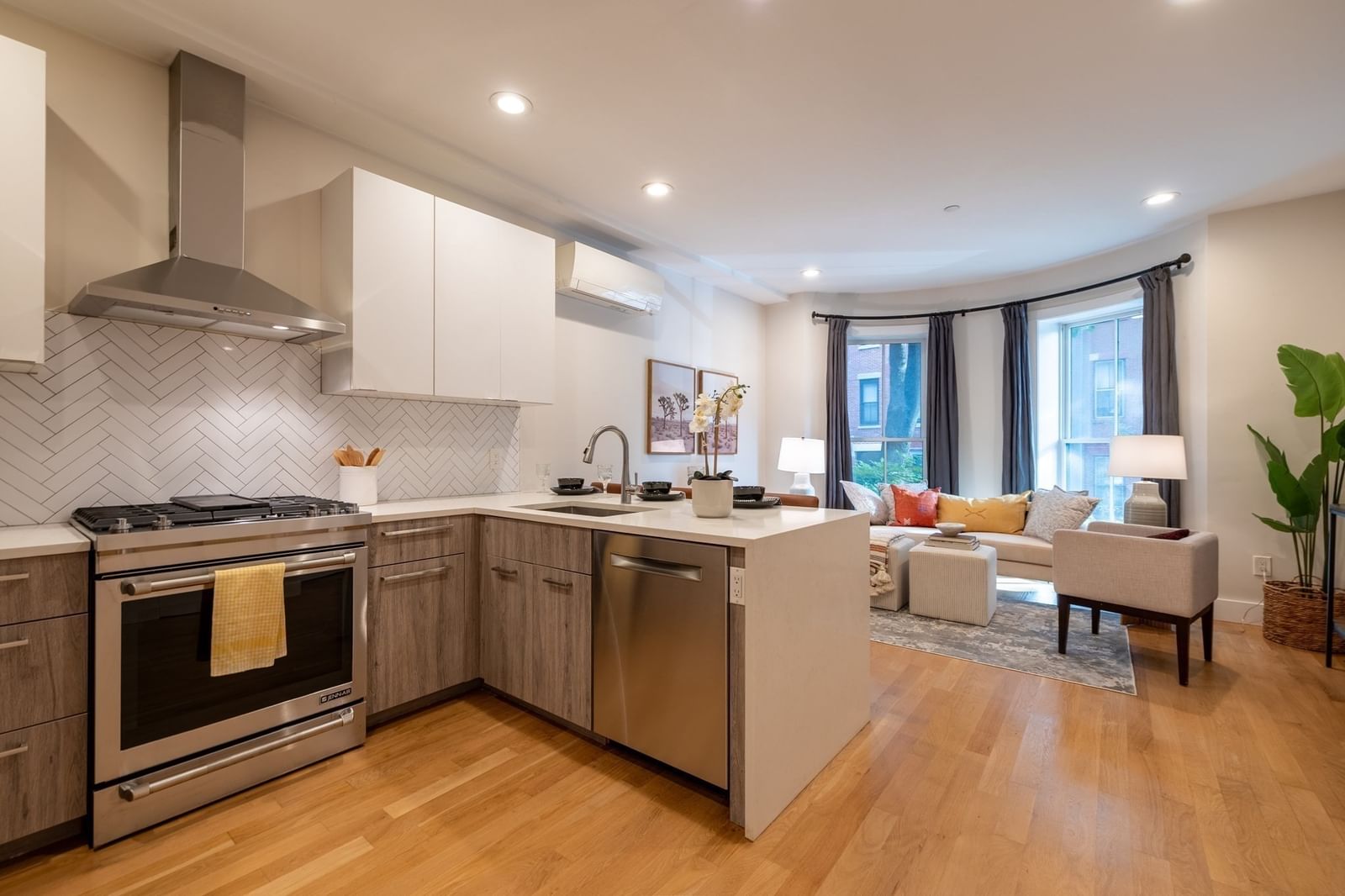 55 E Springfield St #2 Boston — Photo 2 of 27