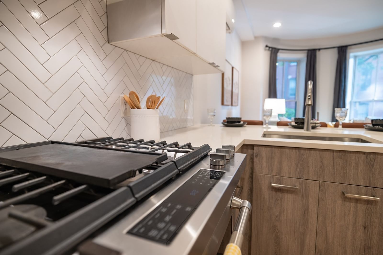 55 E Springfield St #2 Boston — Photo 7 of 27