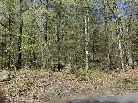 0 New Boston Rd Parcel 1 Tolland — Photo 2 of 2