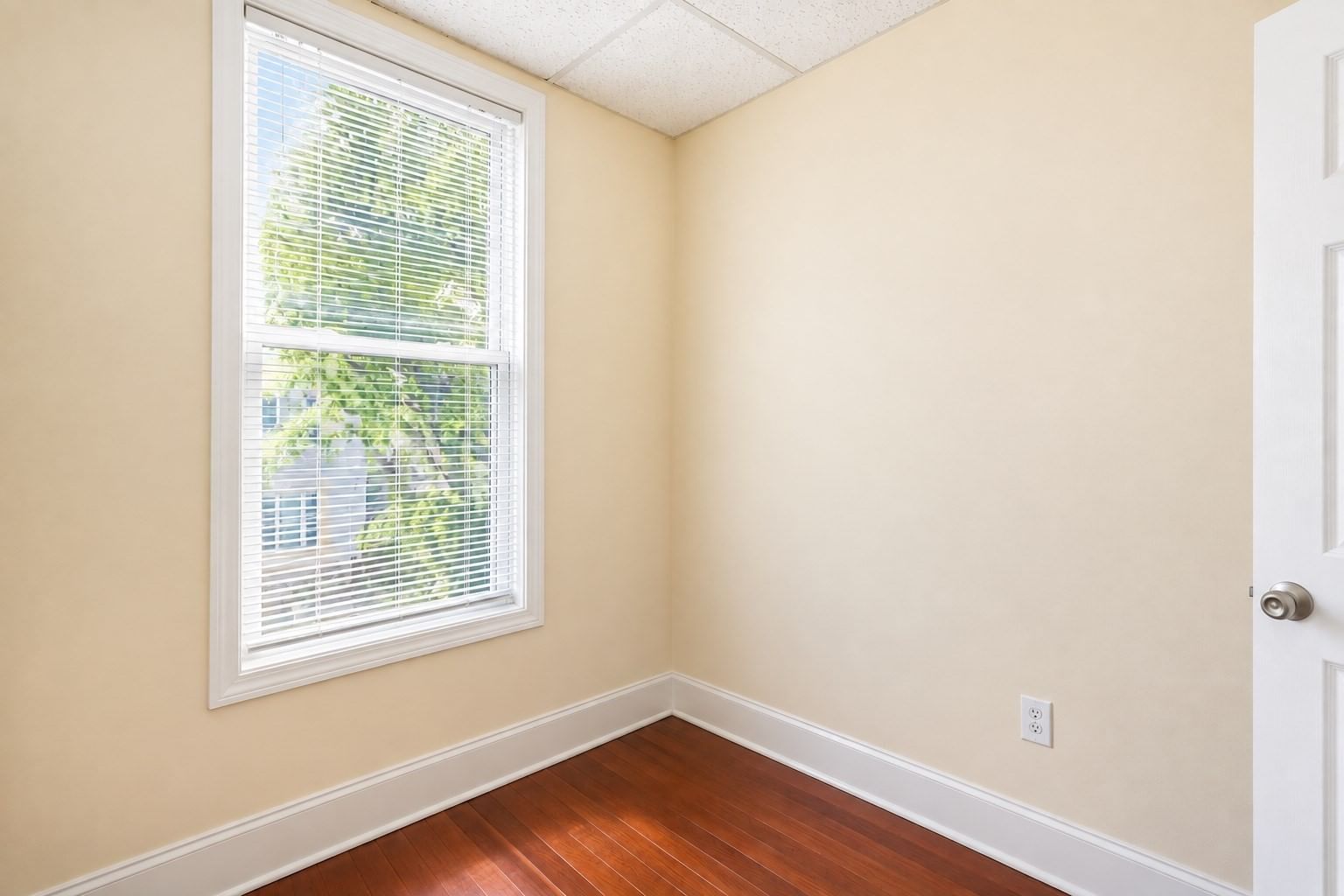 205 Harvard Street Cambridge — Photo 18 of 31