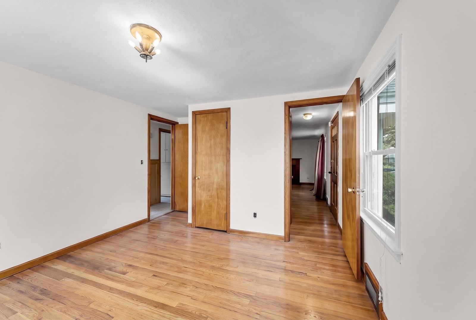 44 Arthur St Springfield — Photo 16 of 28
