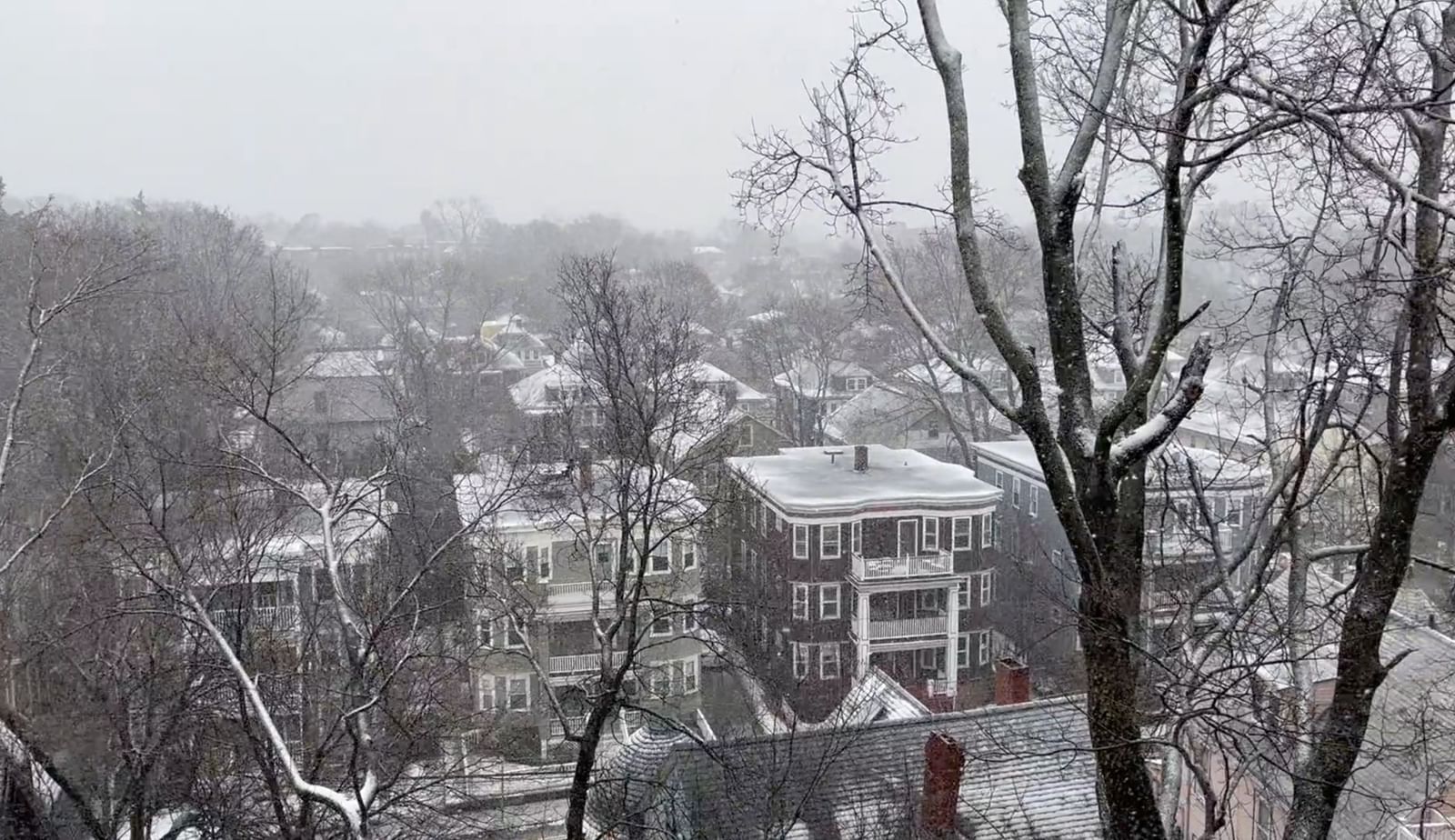 37 Oakview Ter #3 Boston — Photo 26 of 26