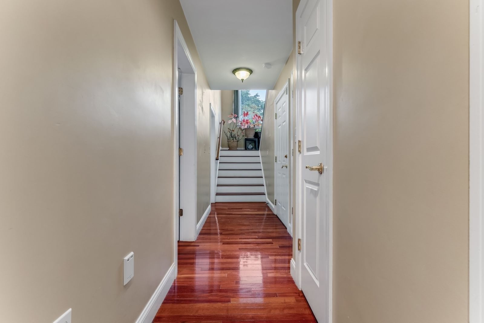 30 Everett Ave Somerville — Photo 8 of 38