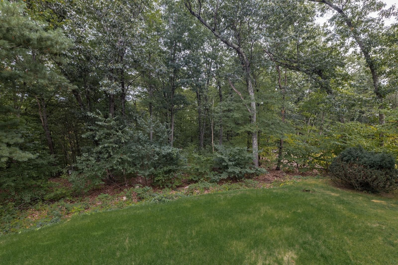 54 Checkerberry Ln Framingham — Photo 37 of 40
