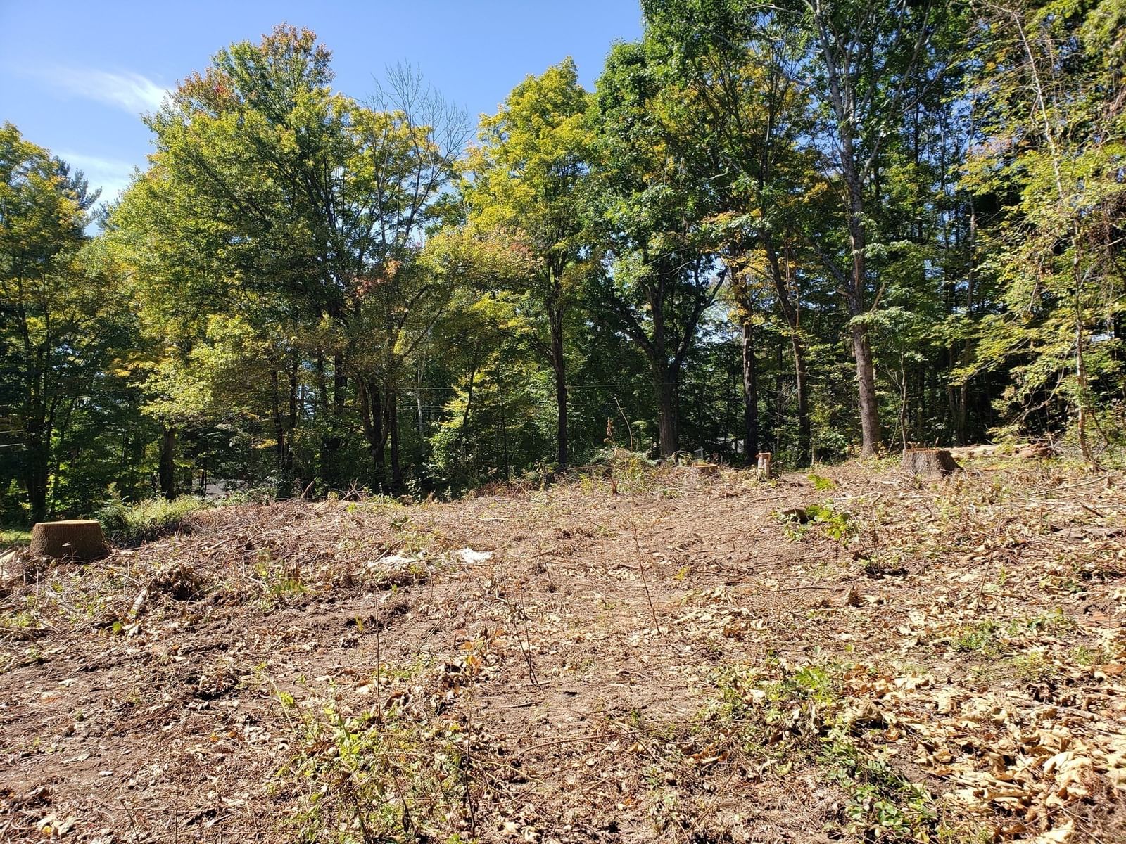 40 Harlow Clark Road Huntington — Photo 16 of 18