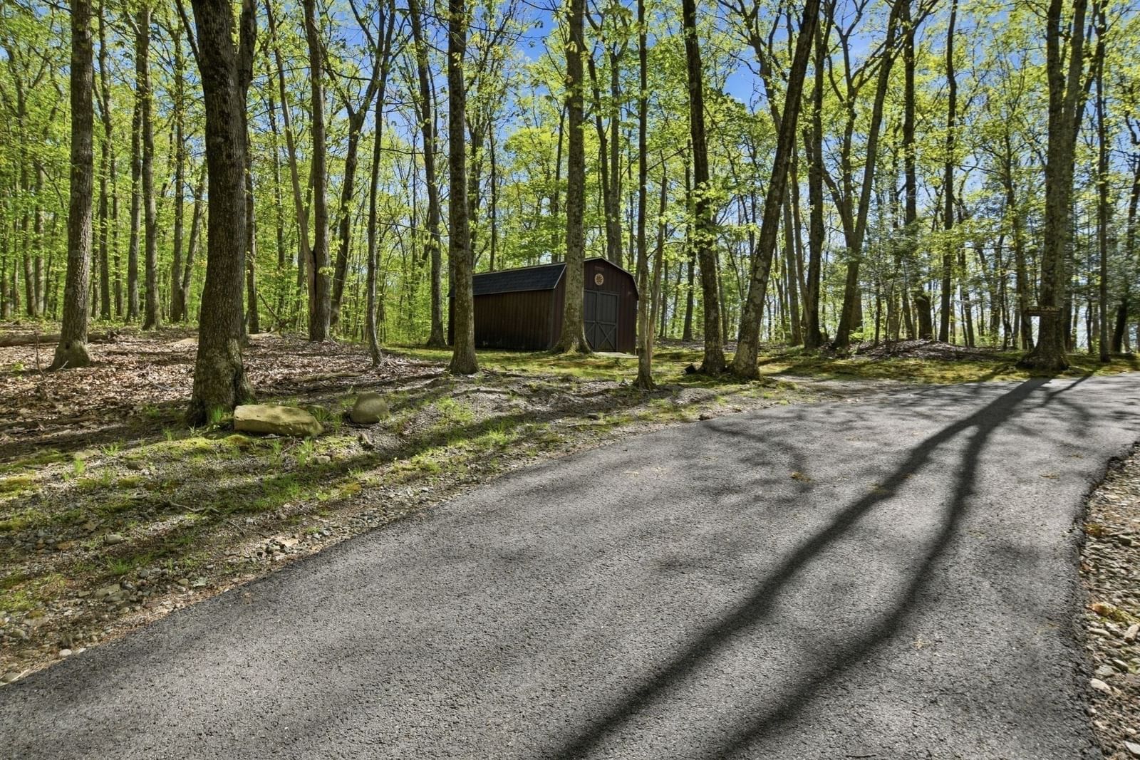 10 Cadwell Drive Wilbraham — Photo 33 of 33