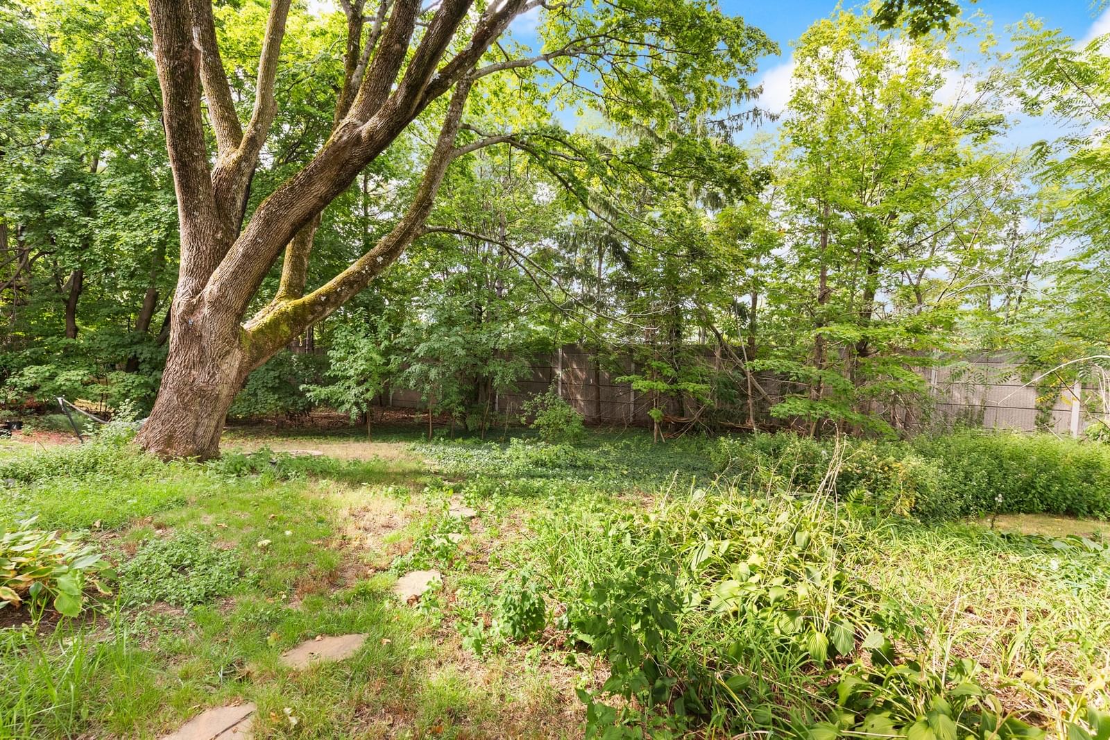 169 Hunnewell Ave #2 Newton — Photo 41 of 41