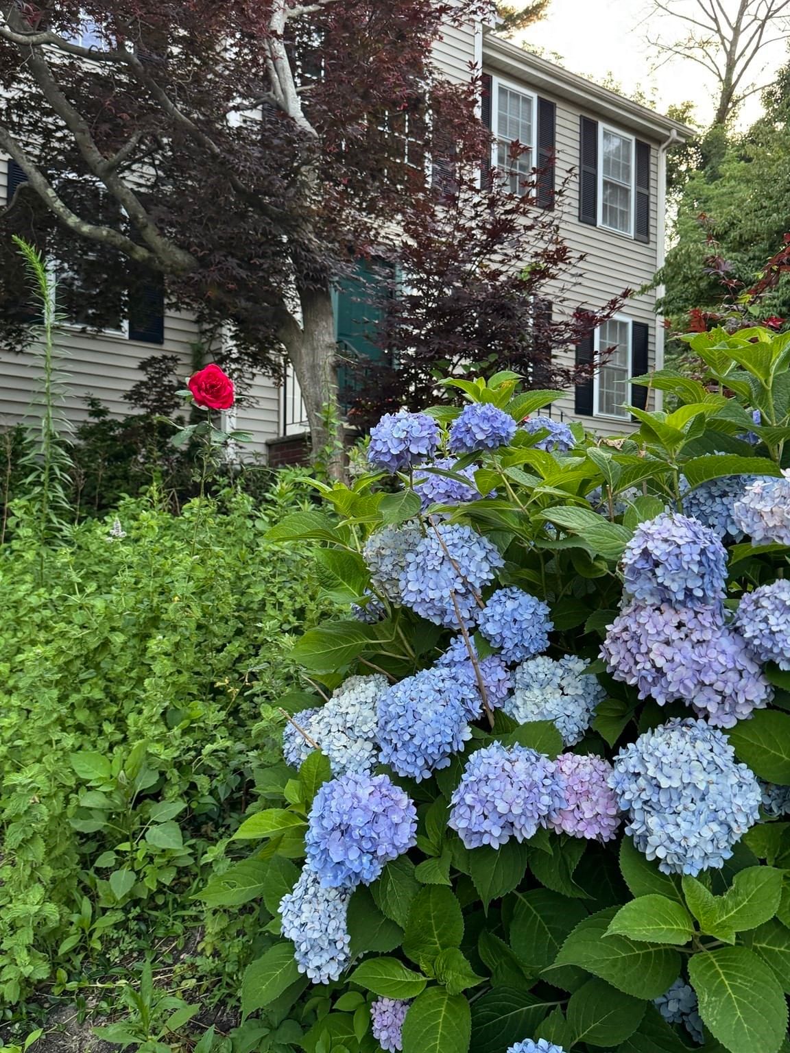 8 Taylor Way Stoughton — Photo 6 of 42