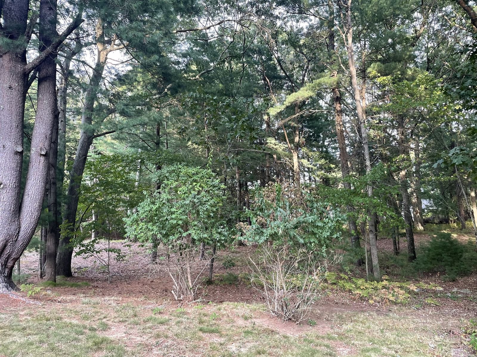 12 Hampton Road Sharon — Photo 18 of 33