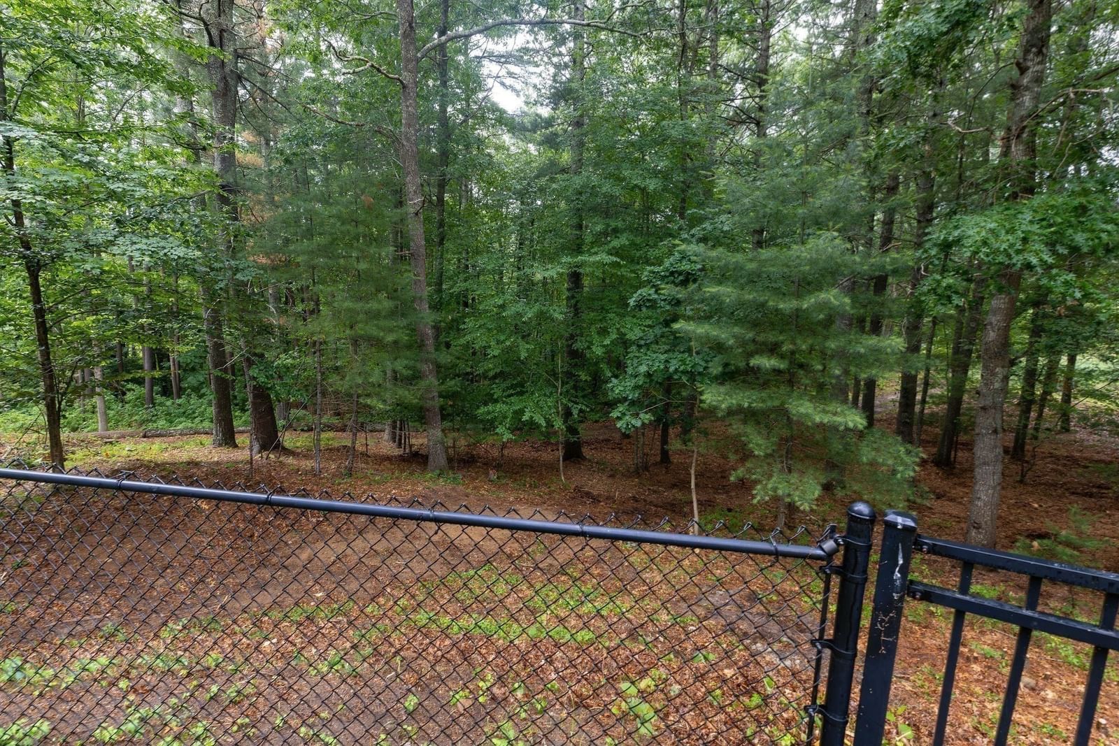 7 Tinkers Ledge Rd Duxbury — Photo 28 of 34