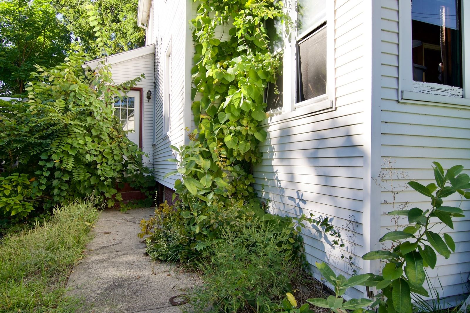193 Sheridan St Chicopee — Photo 2 of 8