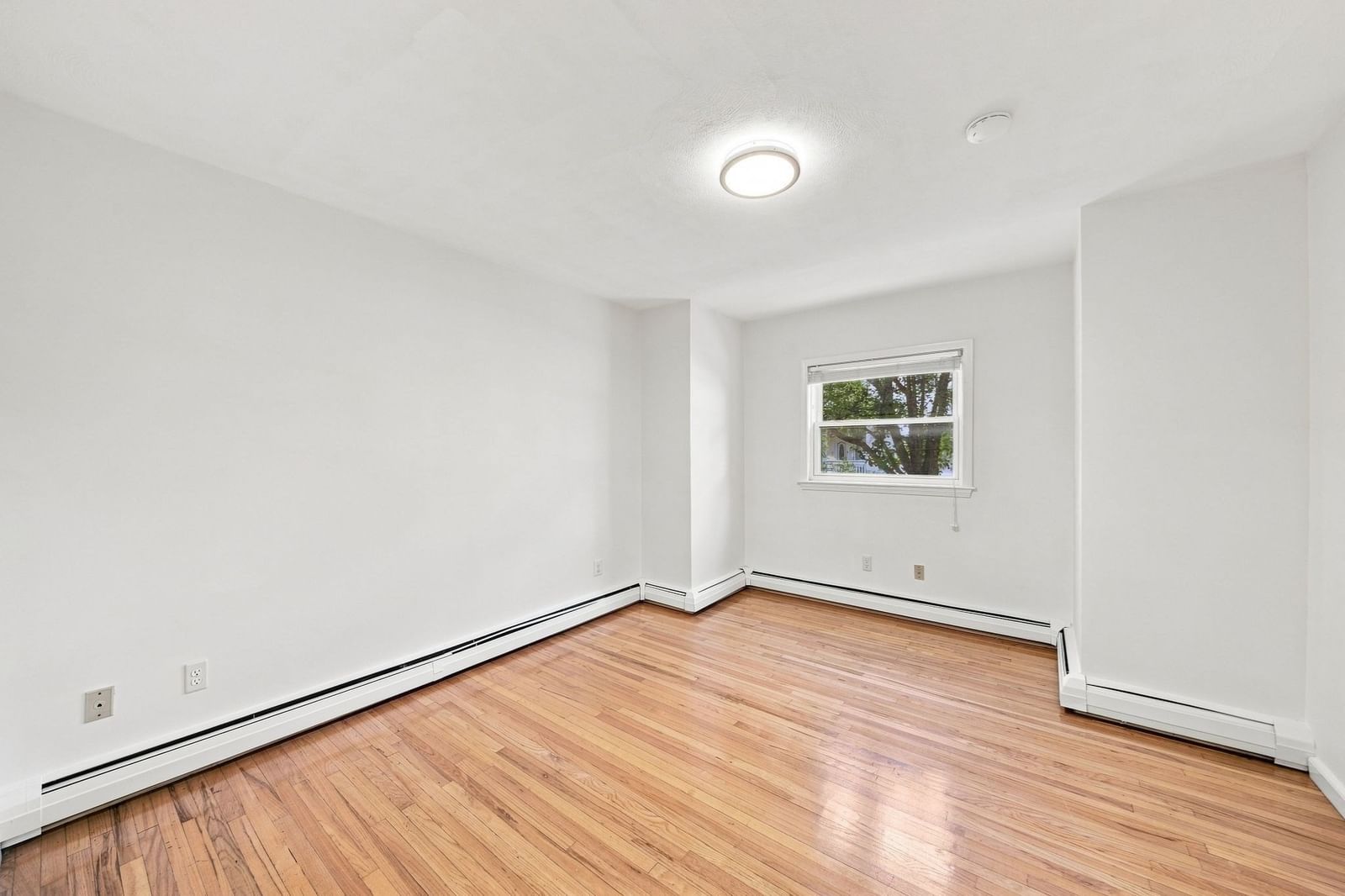 13 Knowlton St Somerville — Photo 7 of 42
