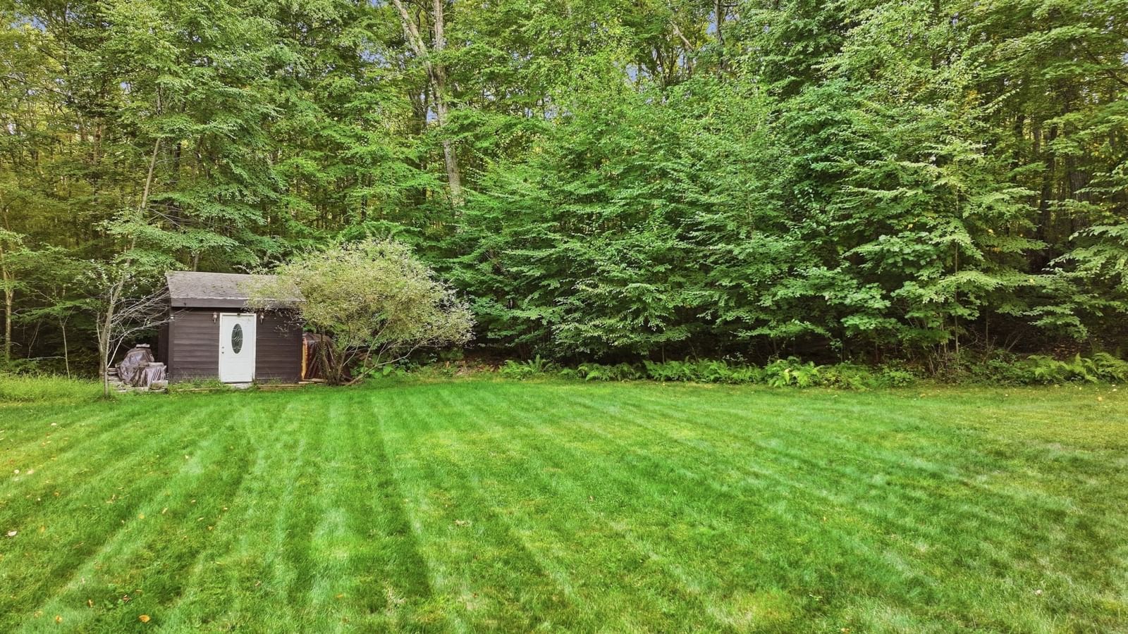138 Walnut Douglas — Photo 41 of 42