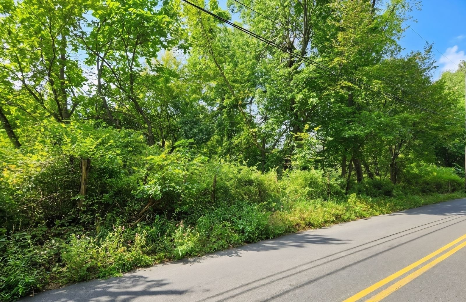 Lot B Pochassic Road Westfield — Photo 3 of 3