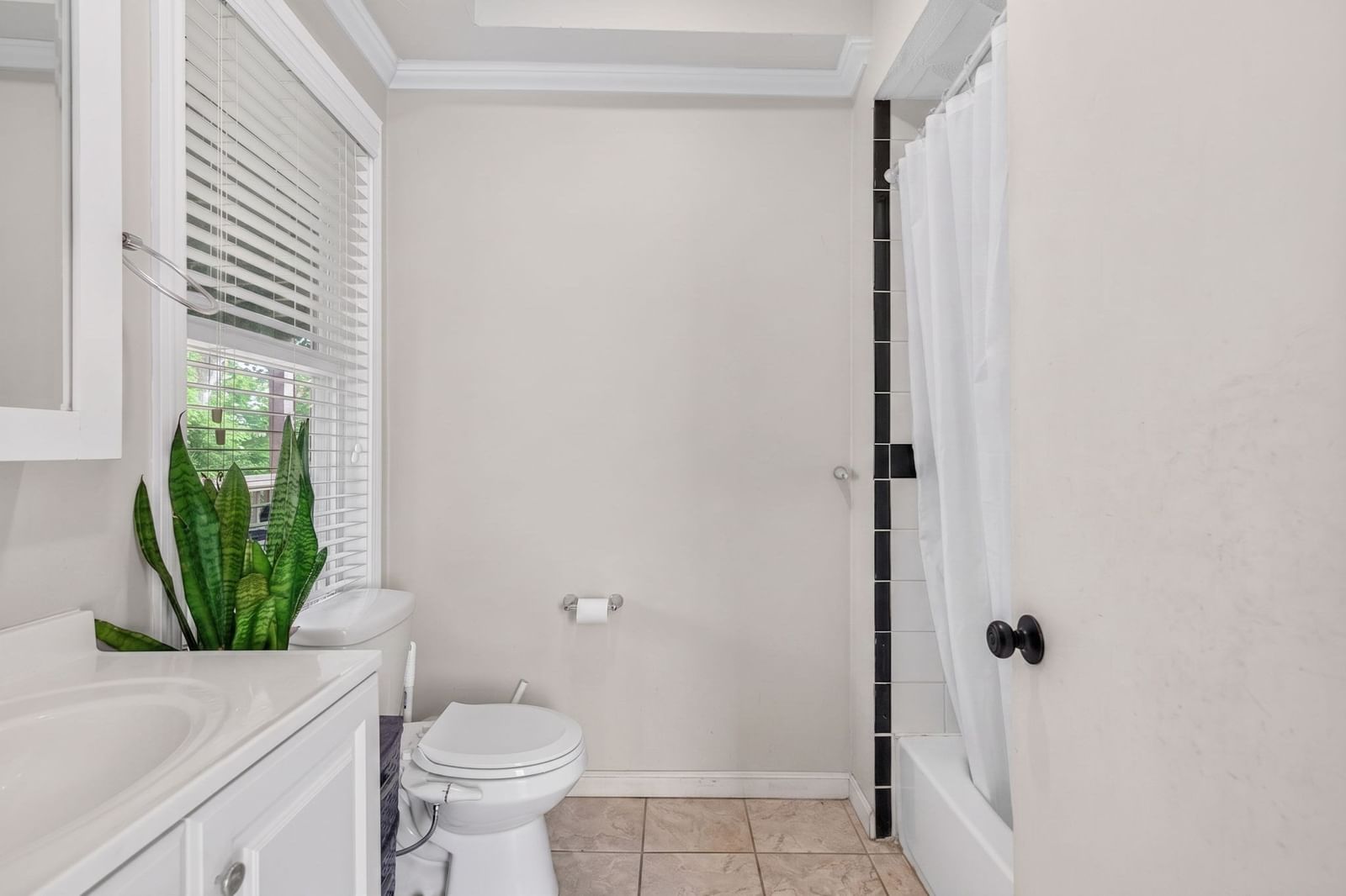 12 Schiller St Boston — Photo 16 of 28
