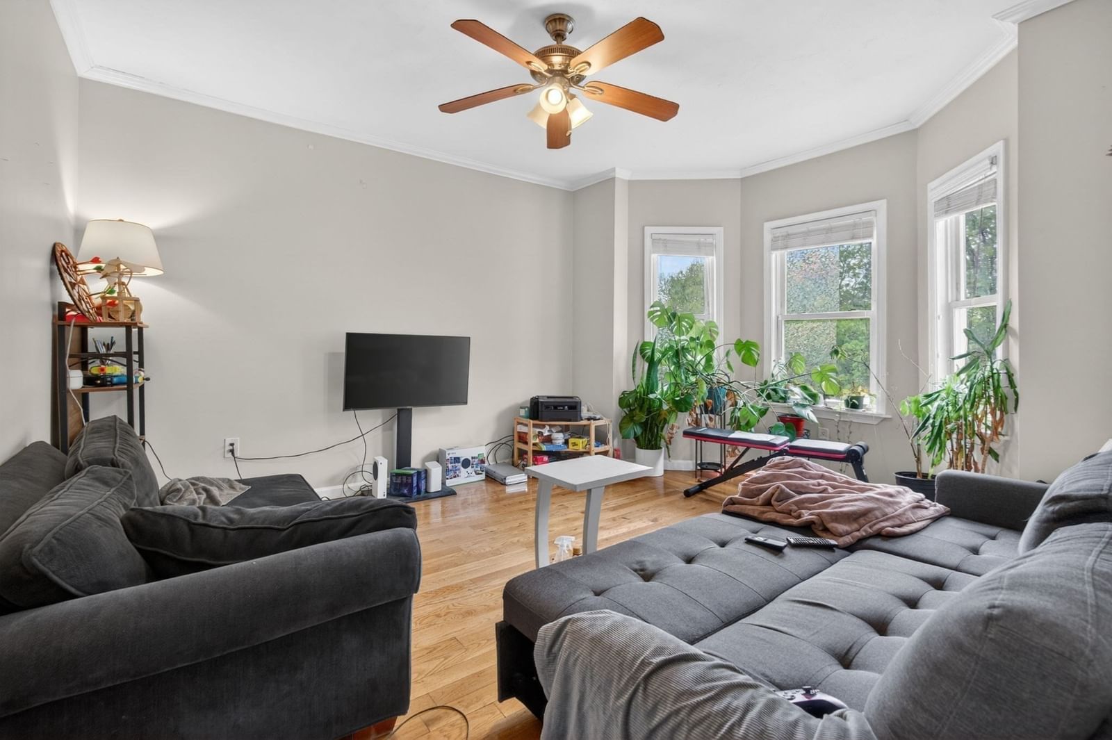 12 Schiller St Boston — Photo 17 of 28
