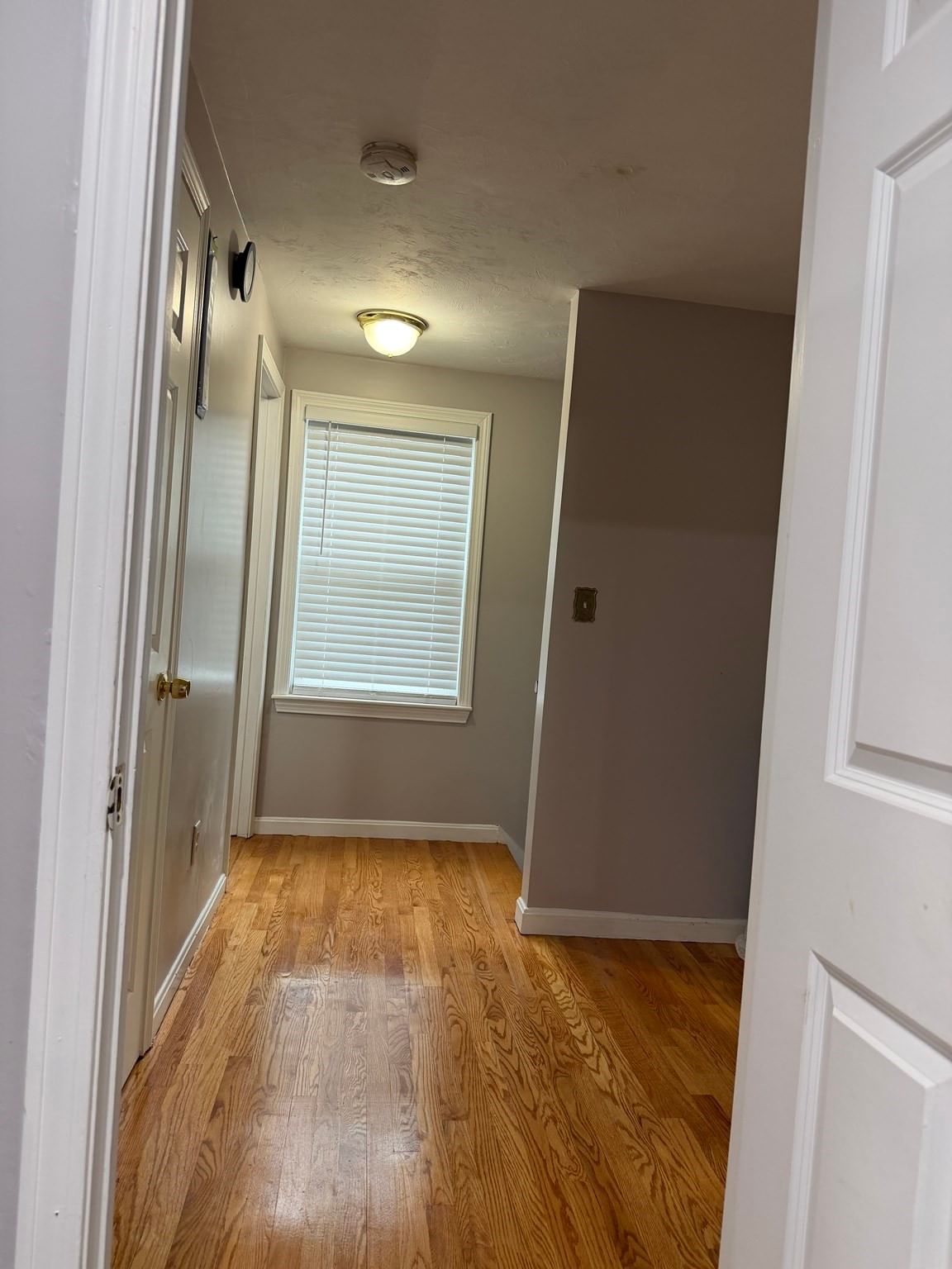 25 Ridlon Rd Boston — Photo 28 of 40