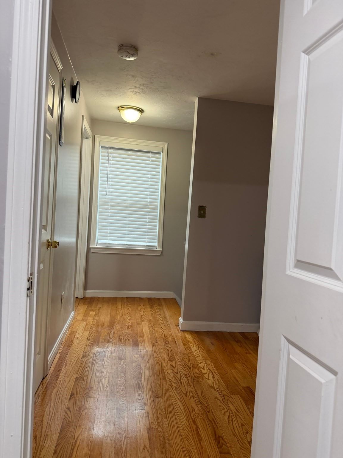 25 Ridlon Rd Boston — Photo 29 of 40