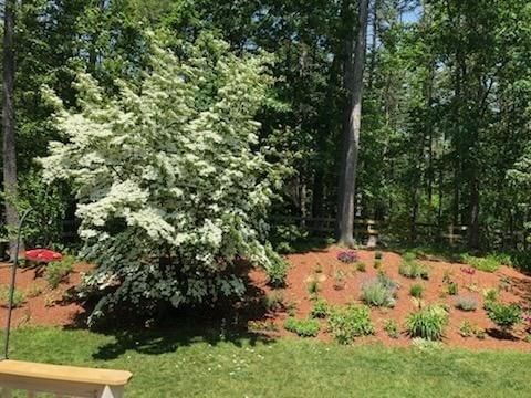 7 Trout Brook Way Shirley — Photo 36 of 40