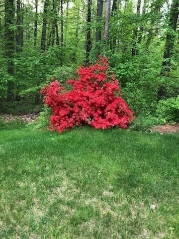 7 Trout Brook Way Shirley — Photo 40 of 40