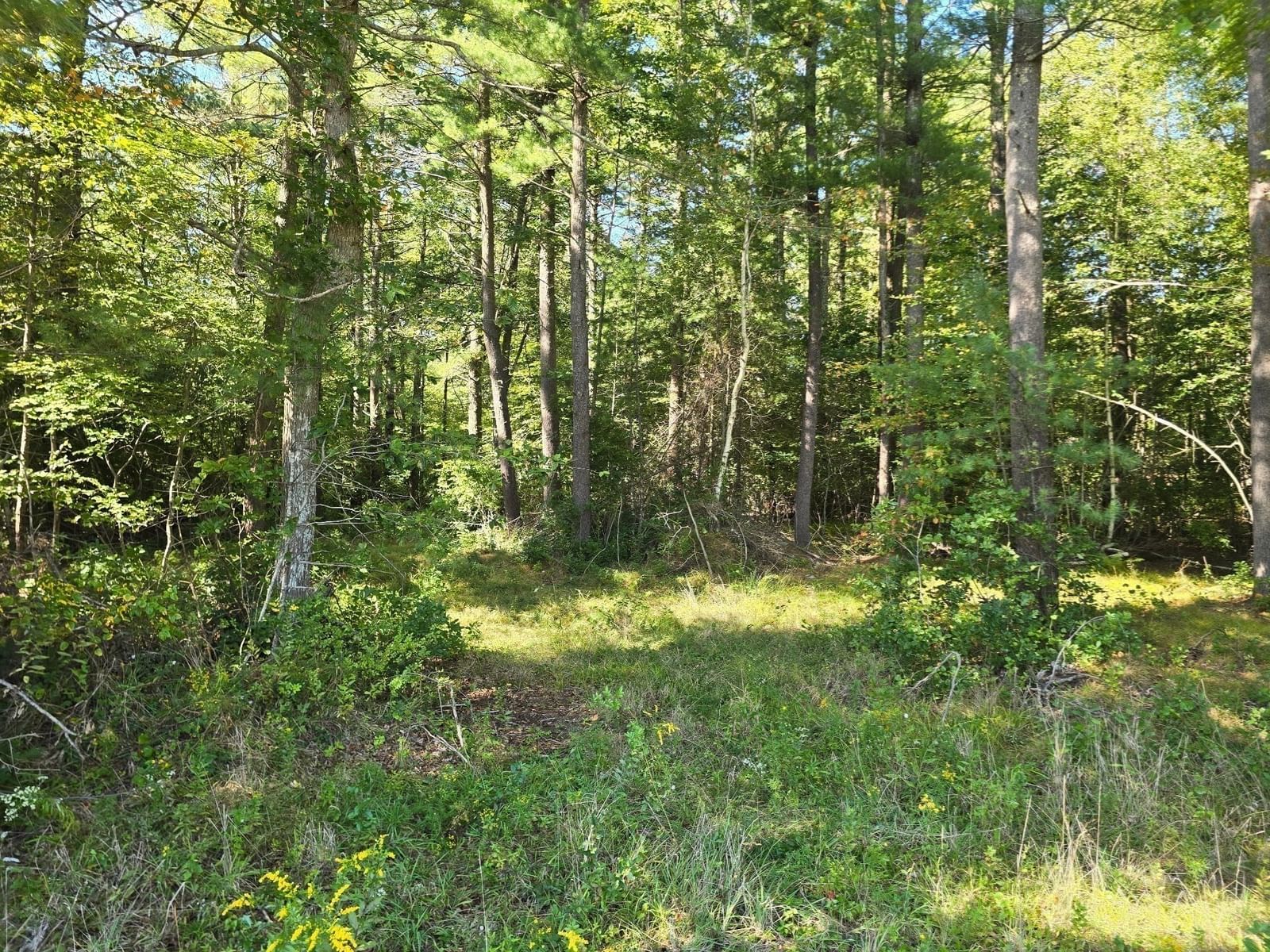 Lot 1 Montgomery Street Lakeville — Photo 4 of 13