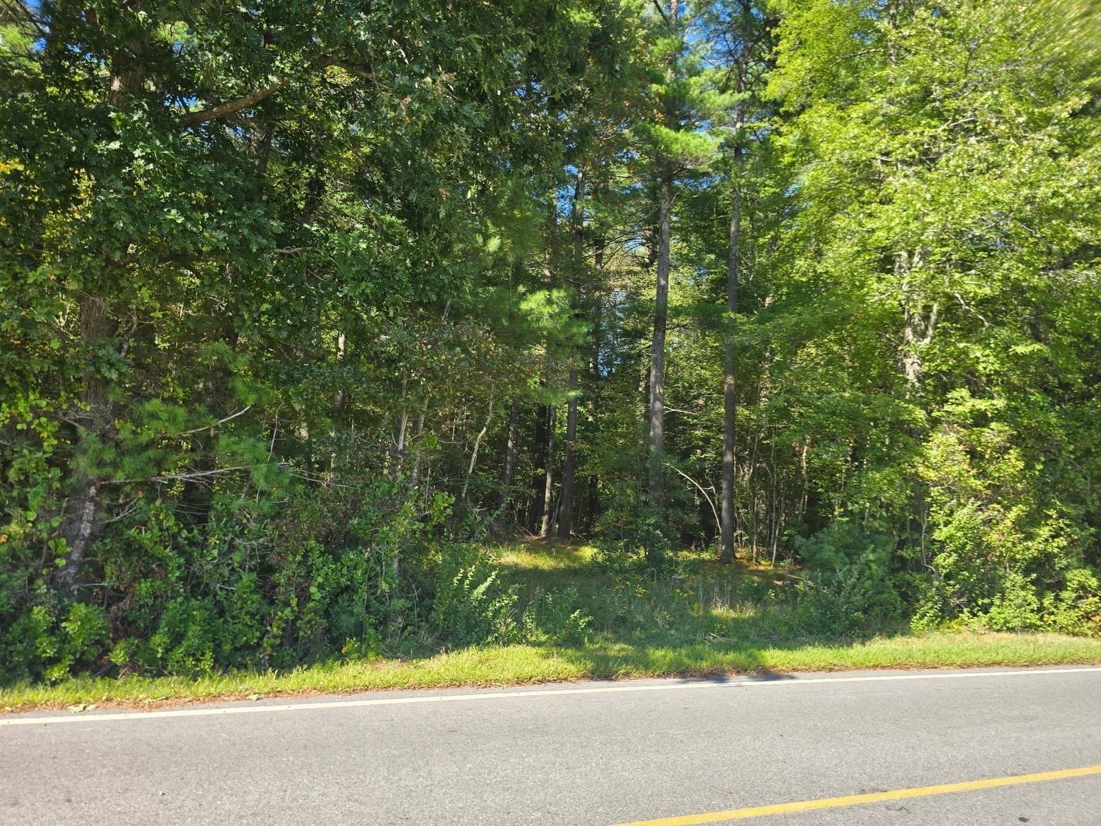 Lot 1 Montgomery Street Lakeville — Photo 5 of 13