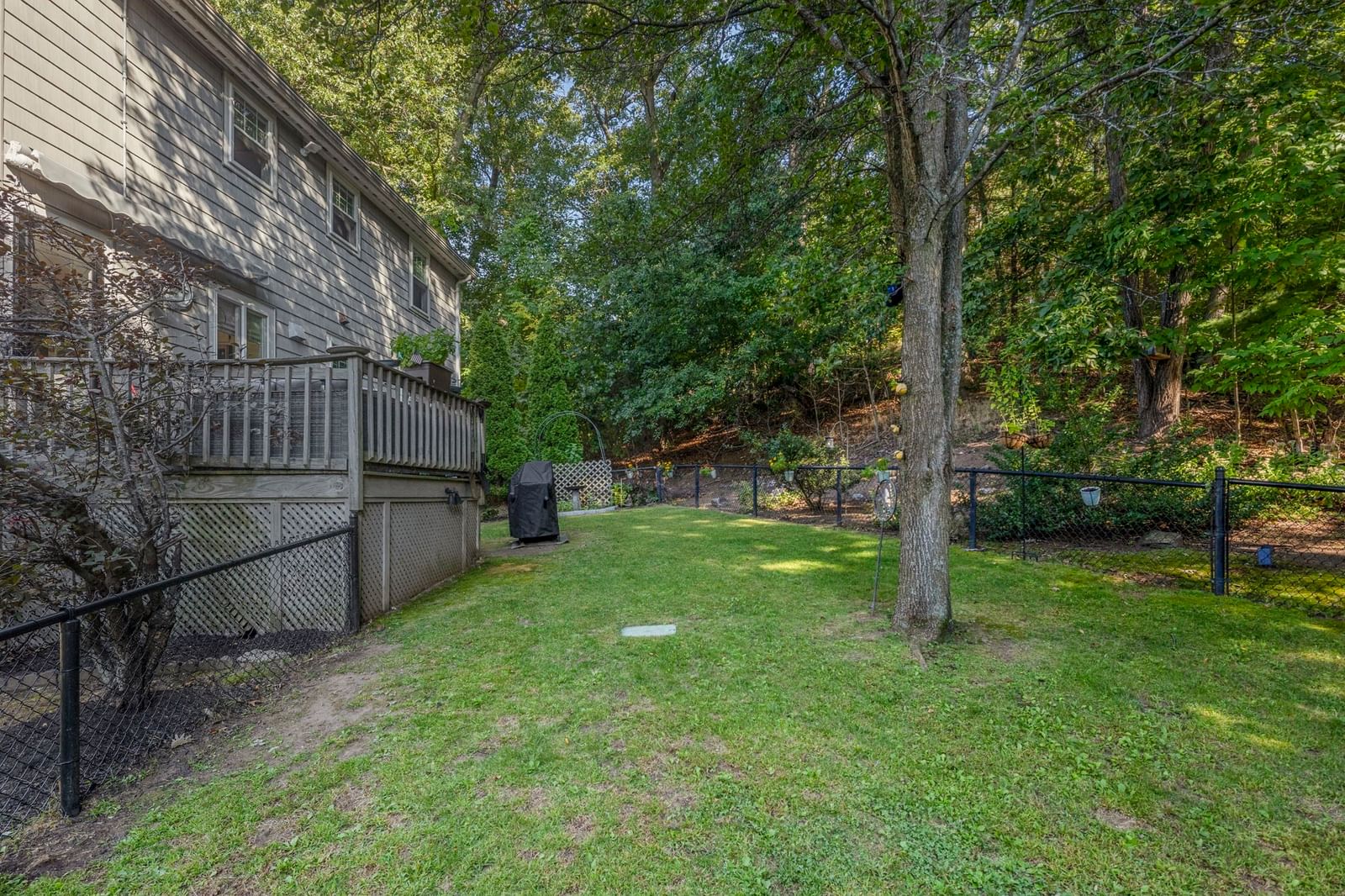 50 Wood Woburn — Photo 4 of 26