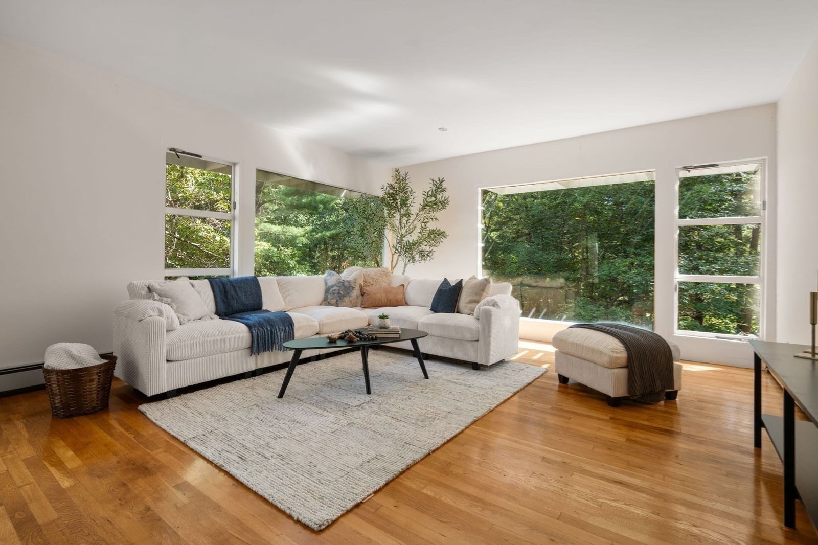 583 Gay Street Westwood — Photo 13 of 41