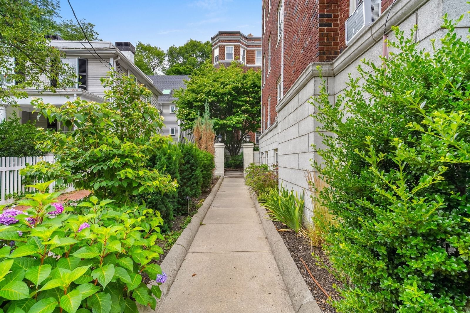 41 Bowdoin St #25 Cambridge — Photo 18 of 23