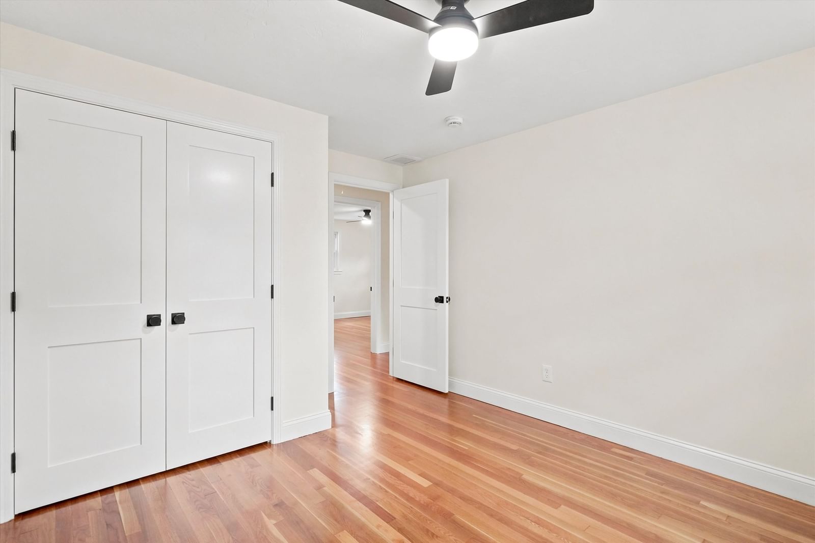 41 Marron Ave Stoughton — Photo 19 of 31