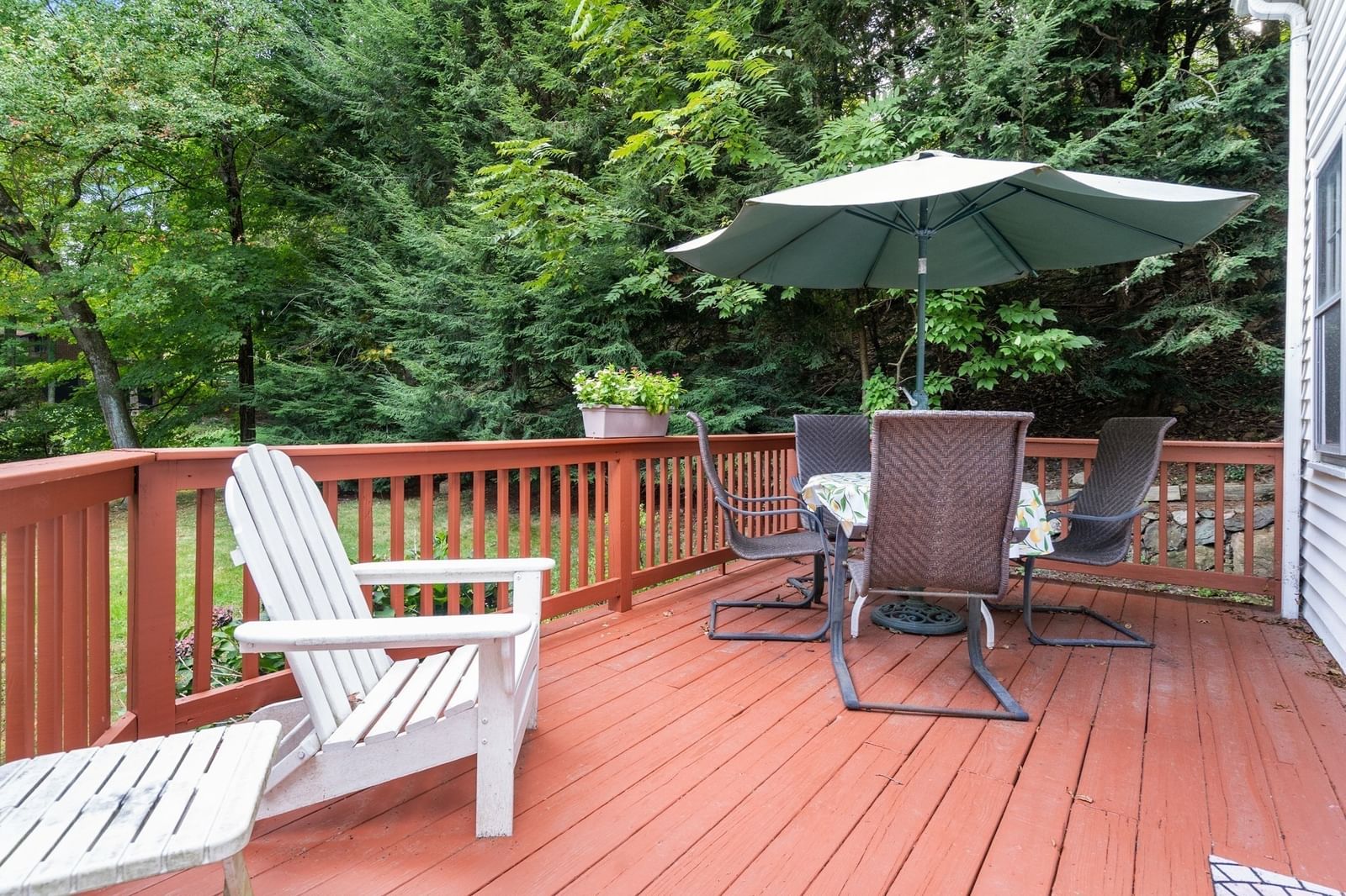 24 Cliff Road Wellesley — Photo 9 of 13
