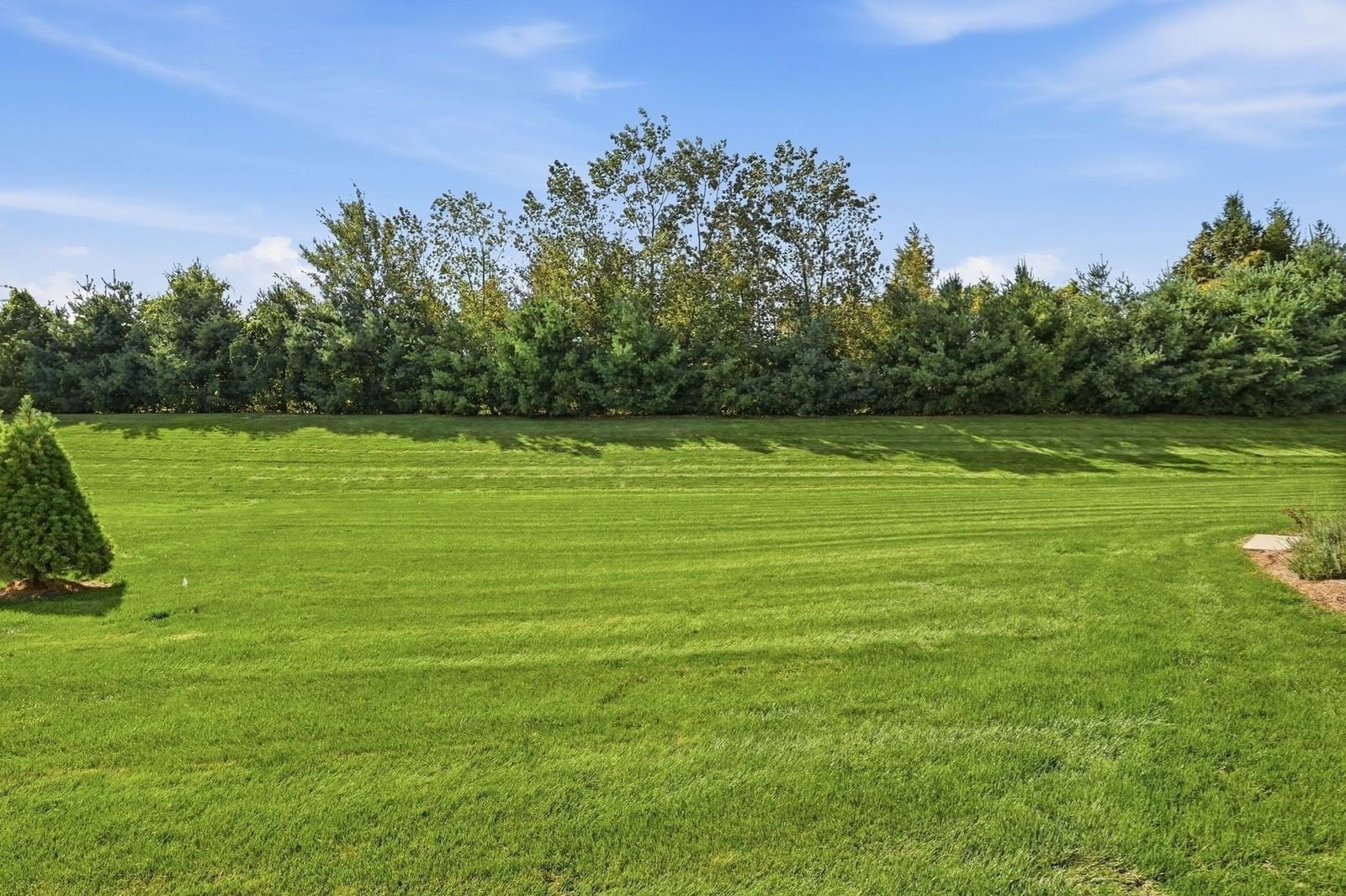 16 Ribbon Grass Ln #16 East Longmeadow — Photo 40 of 42