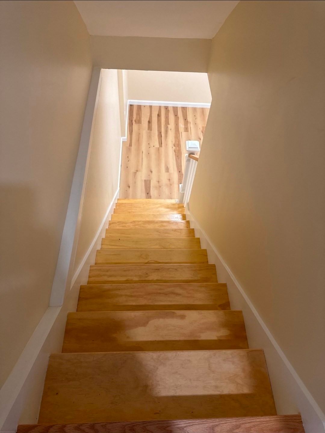 11 Maitland Ave Lowell — Photo 9 of 12
