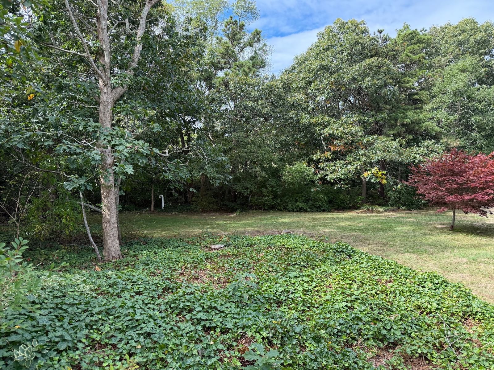 15 Linda Ln #15 Eastham — Photo 8 of 30