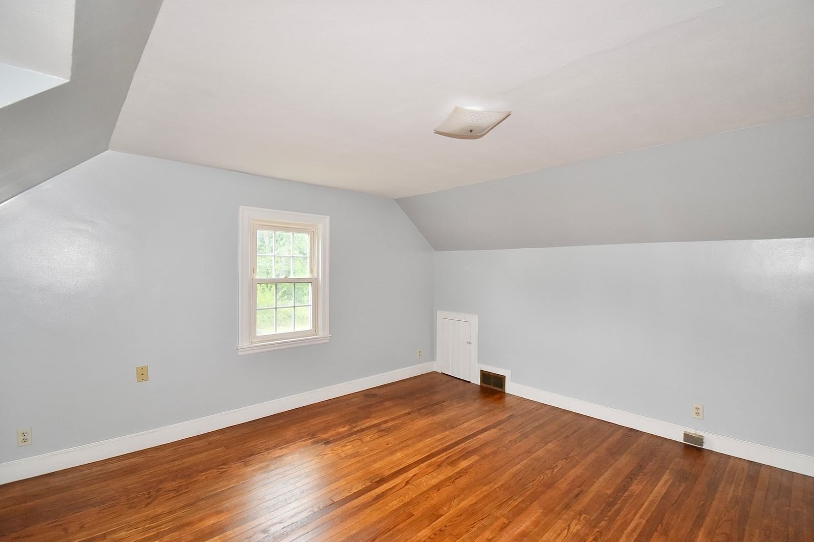 67 Temby St Springfield — Photo 11 of 28