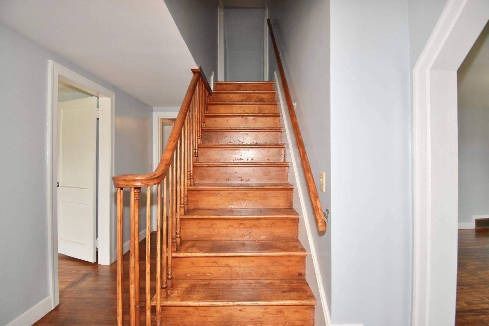 67 Temby St Springfield — Photo 13 of 28