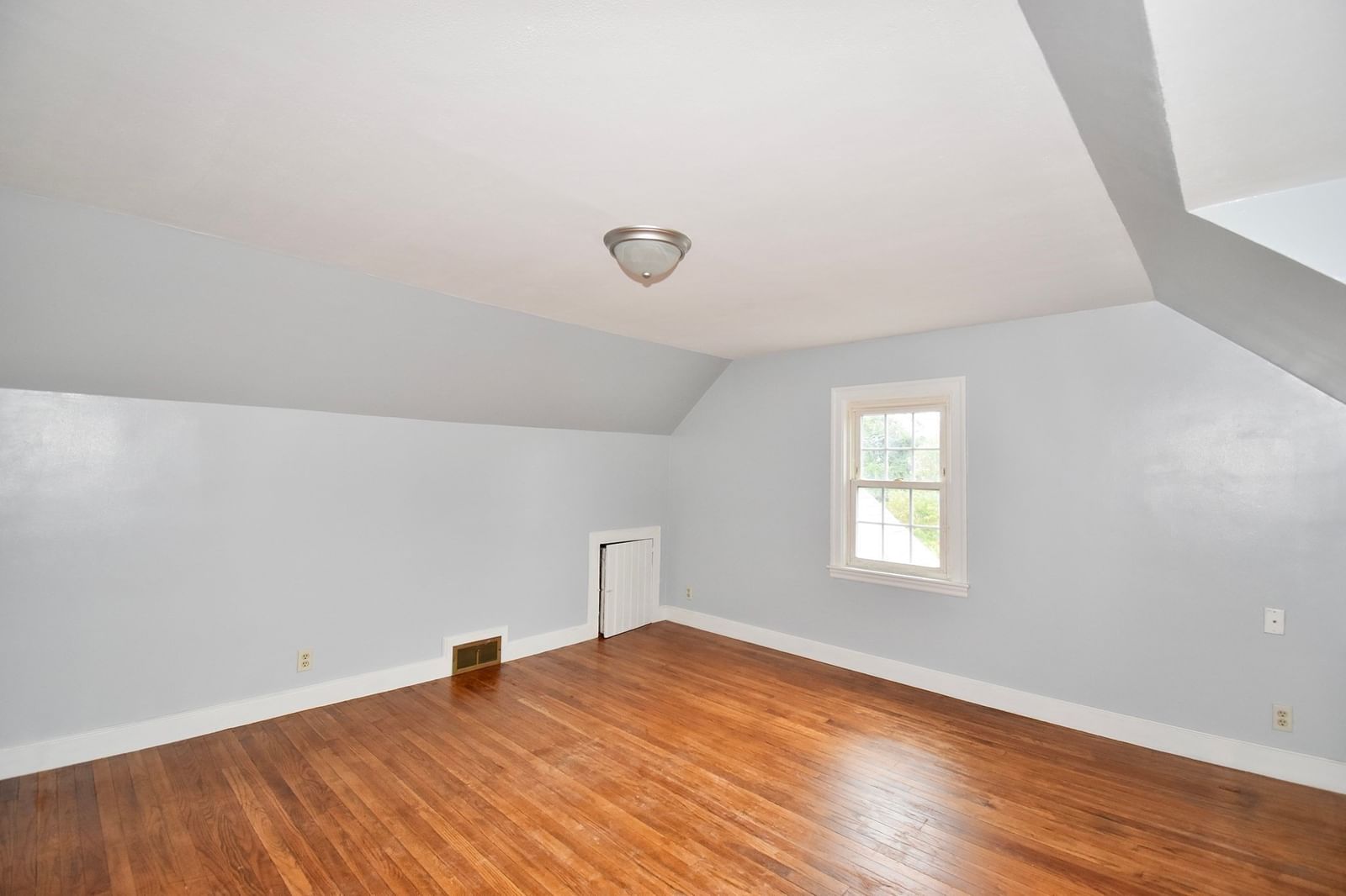 67 Temby St Springfield — Photo 18 of 28