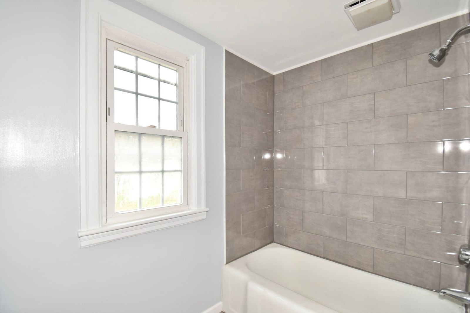 67 Temby St Springfield — Photo 7 of 28