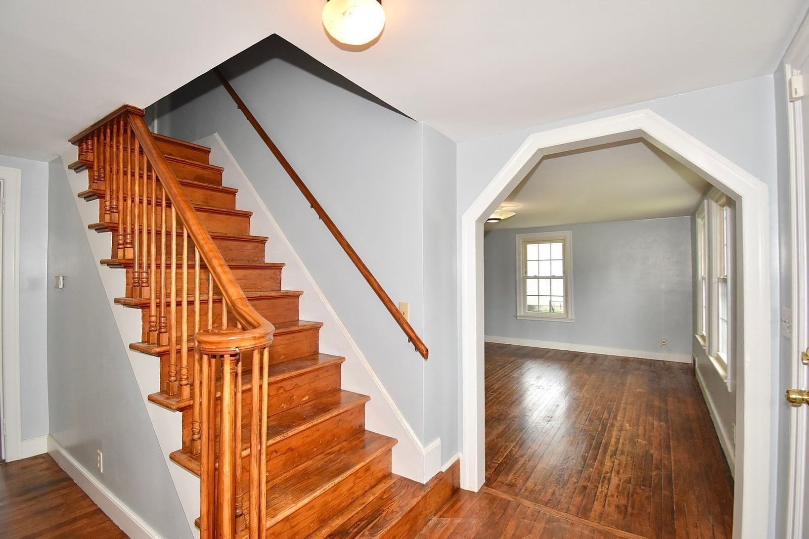 67 Temby St Springfield — Photo 9 of 28