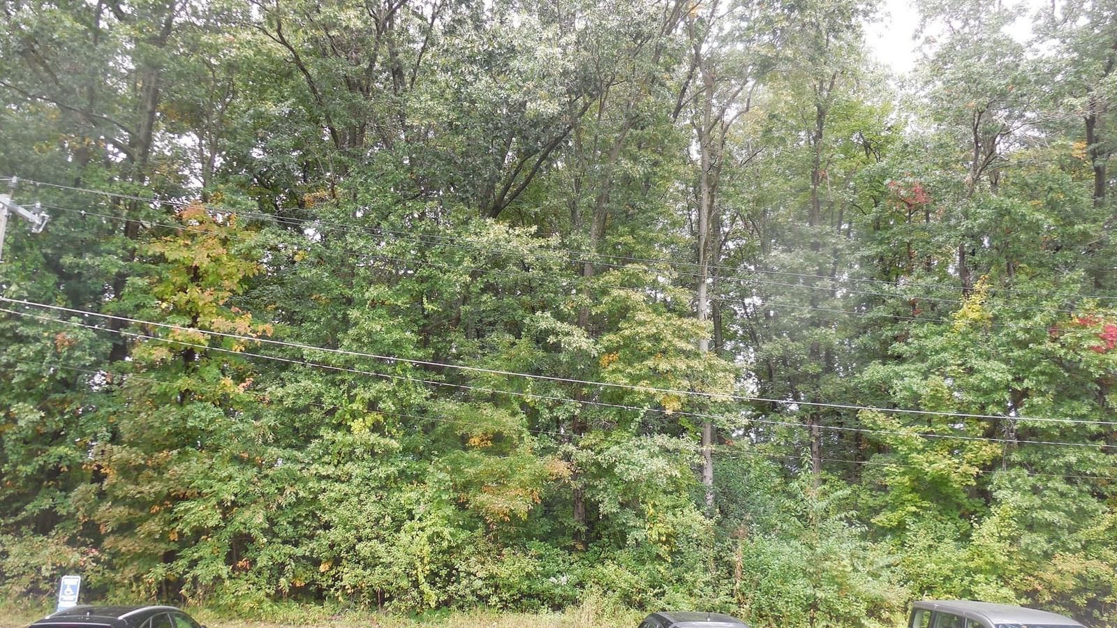 261 Regency Park Dr #261 Agawam — Photo 13 of 13