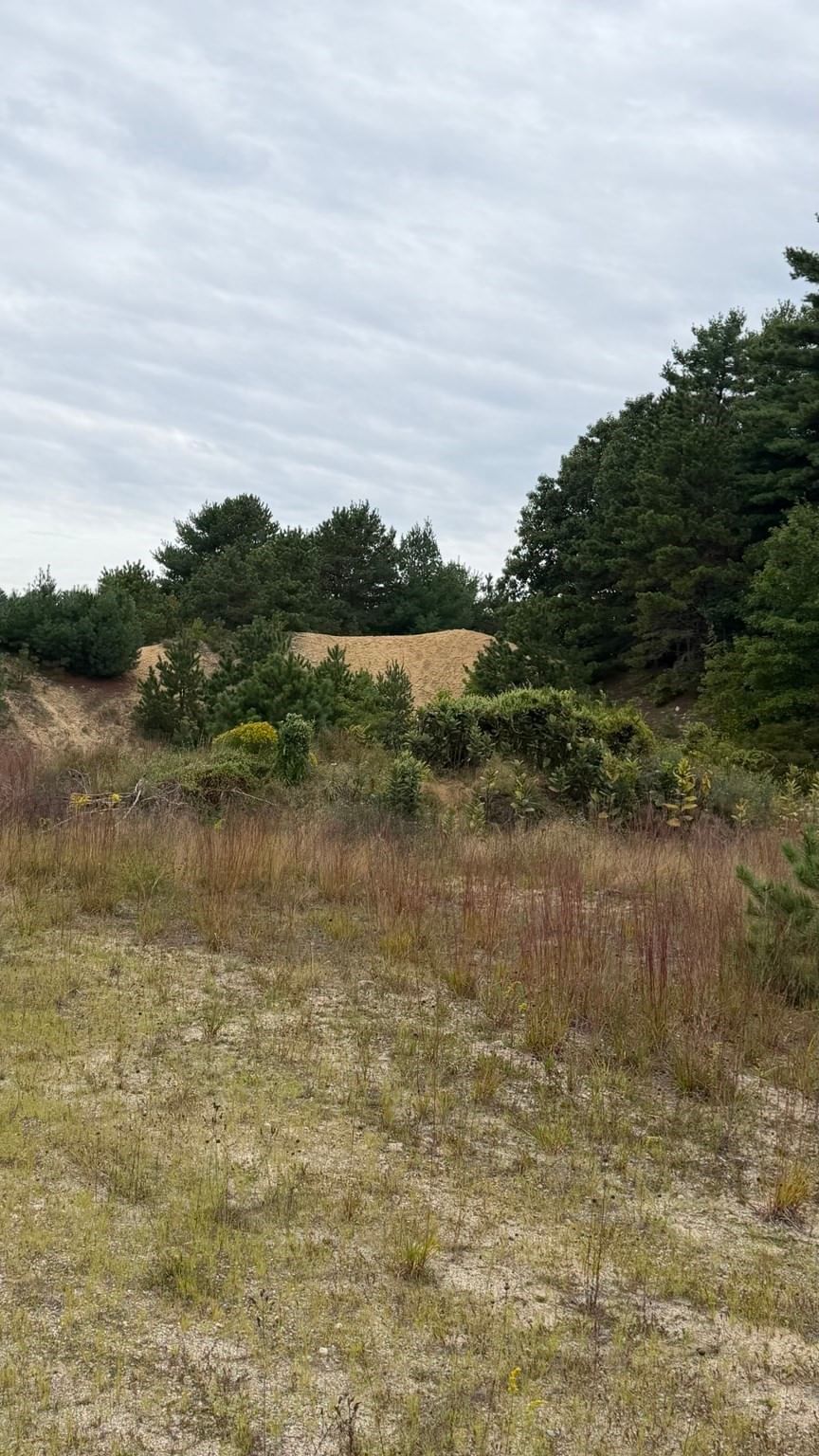 0 Wareham St, Carver, MA 02330 photo 3