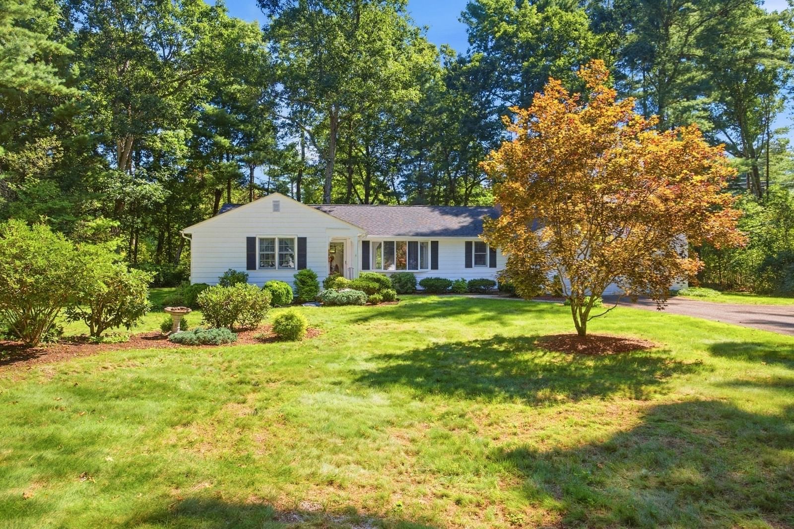 6 Centerwood Drive Wilbraham — Photo 4 of 41