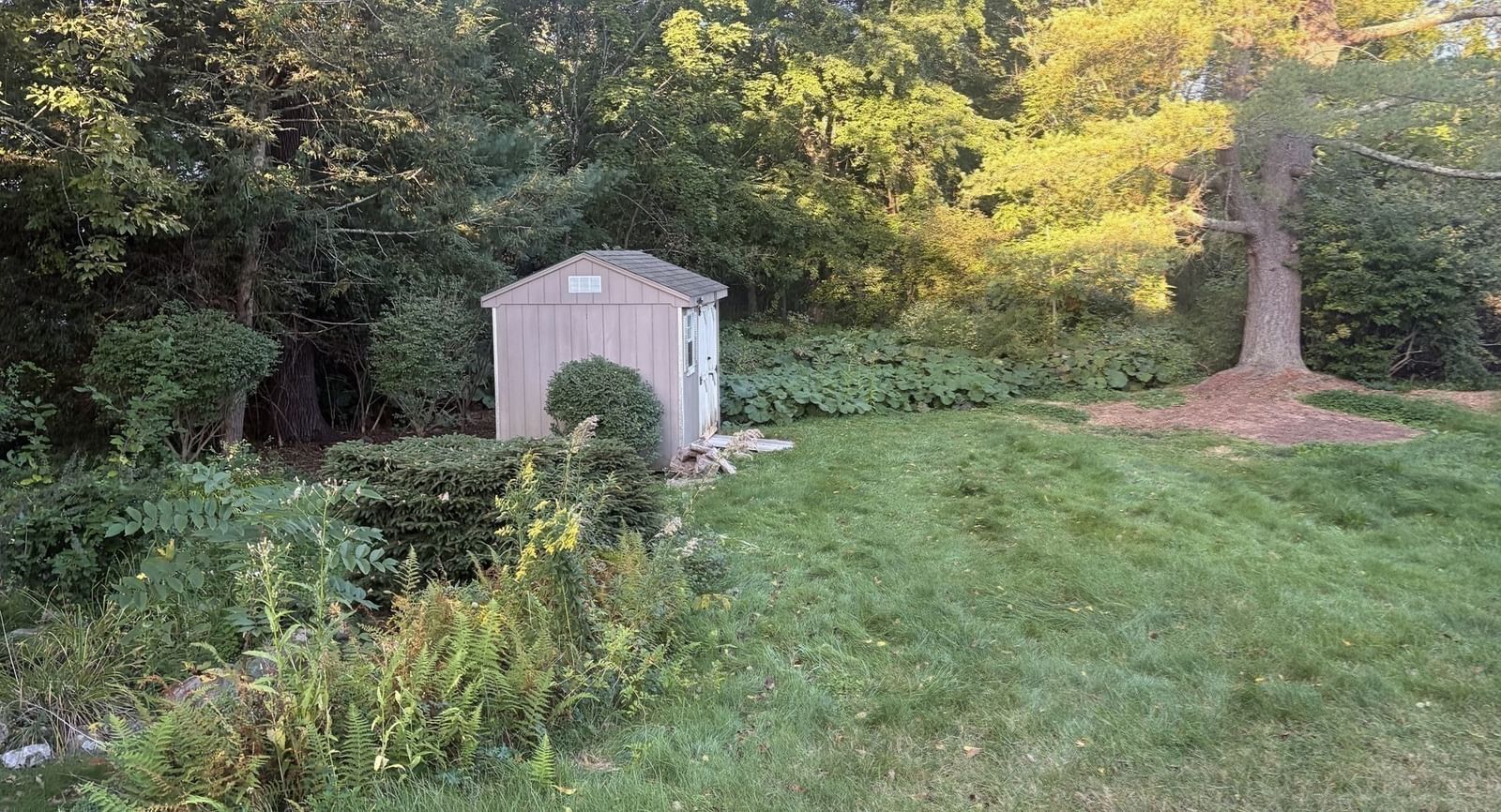 535 Harvard Street Whitman — Photo 32 of 34