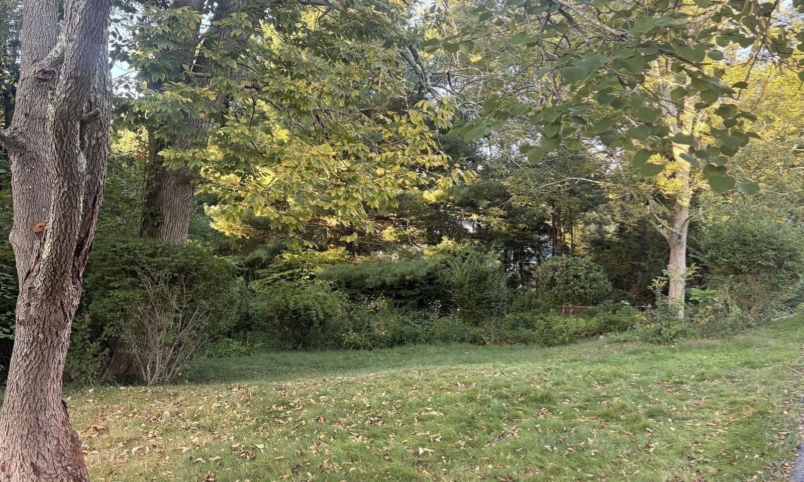 535 Harvard Street Whitman — Photo 33 of 34
