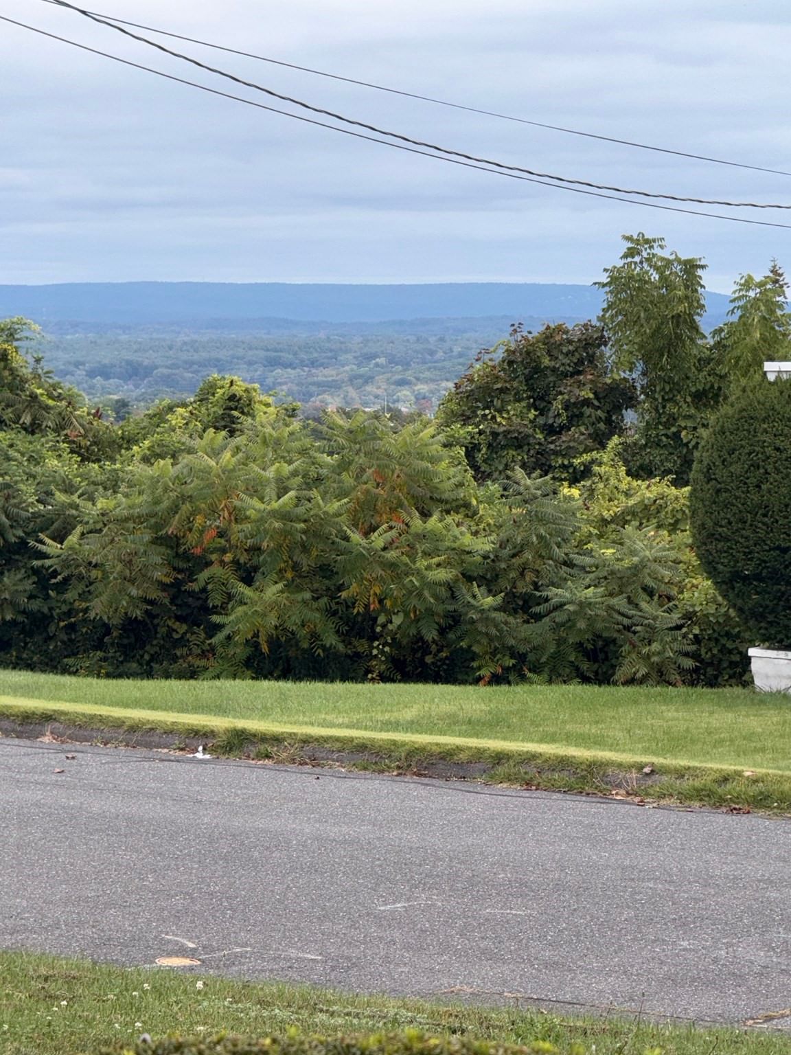 171 Huron Ave Holyoke — Photo 3 of 30