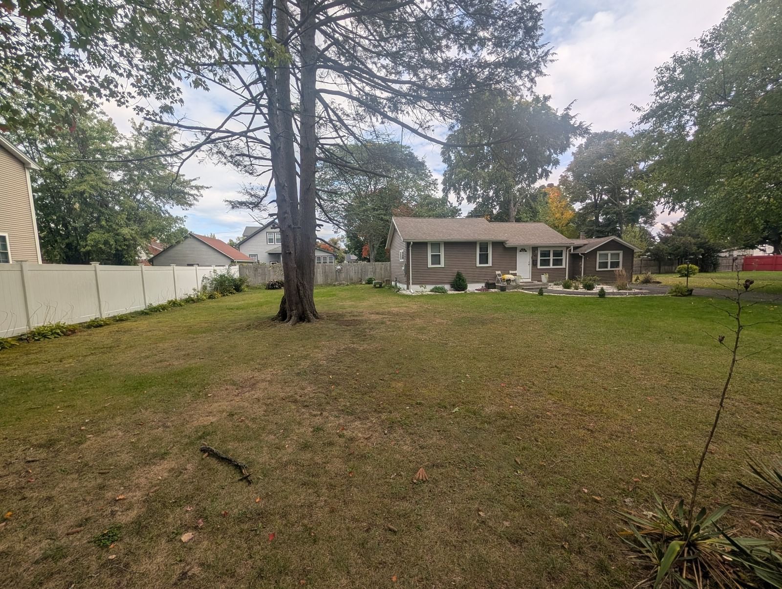 195 Ambrose Springfield — Photo 8 of 25