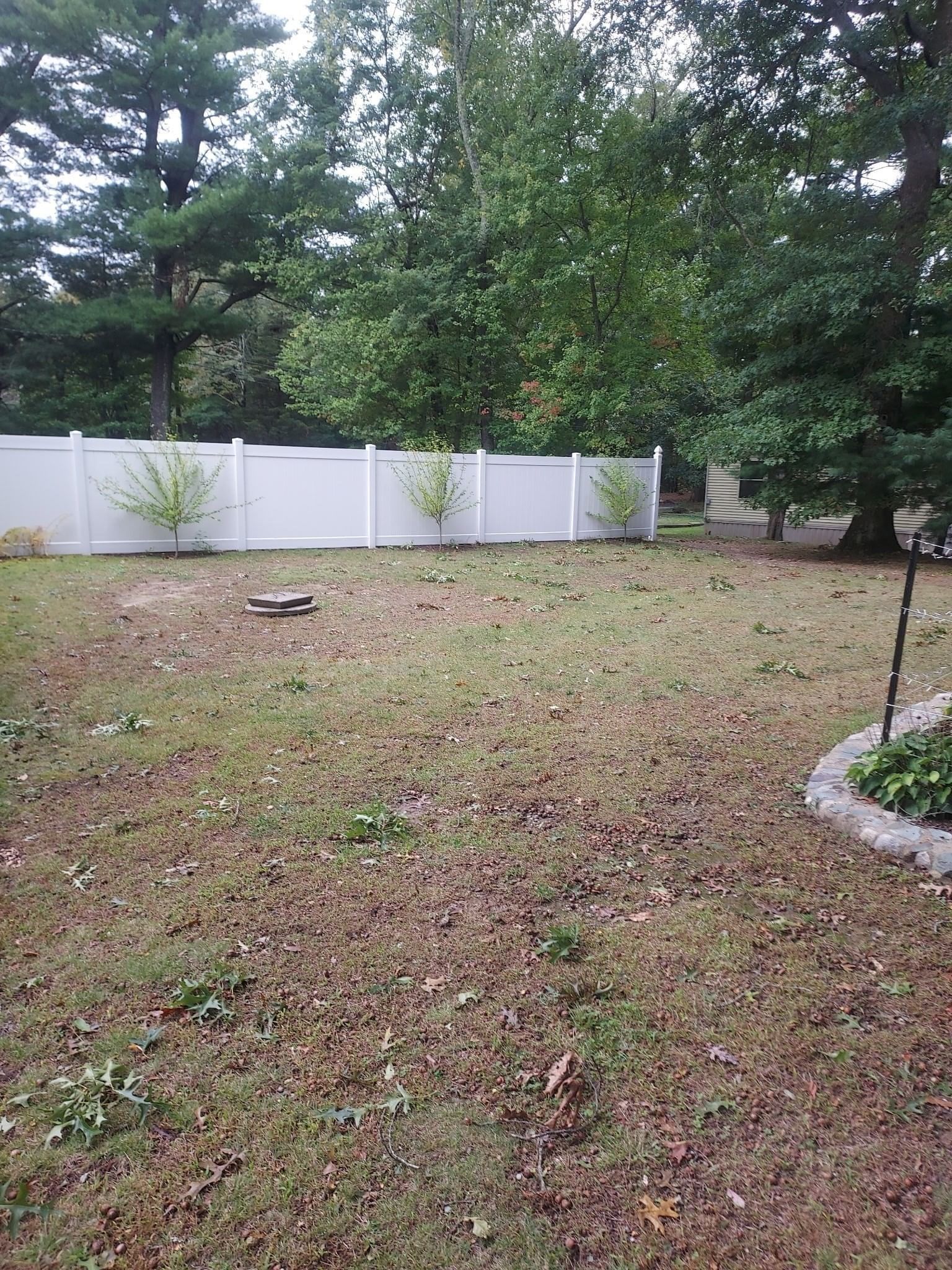 25 Holloway St Berkley — Photo 11 of 38