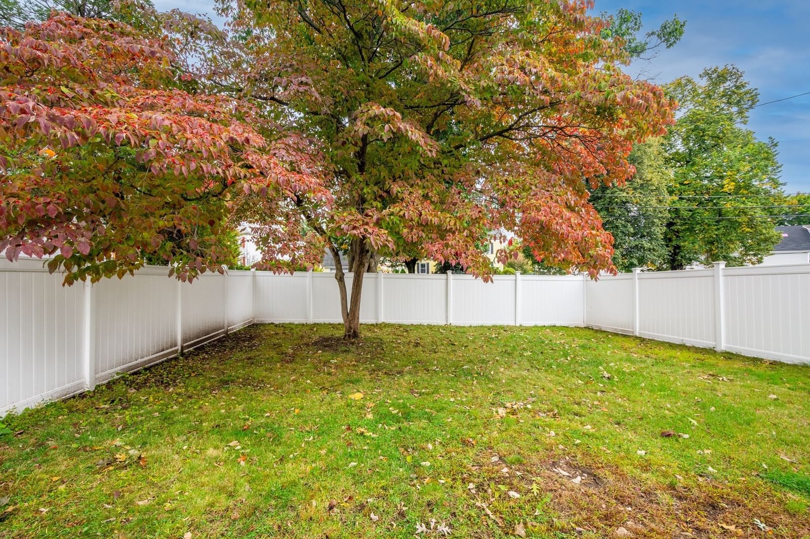 217 Lawrence St Haverhill — Photo 34 of 39