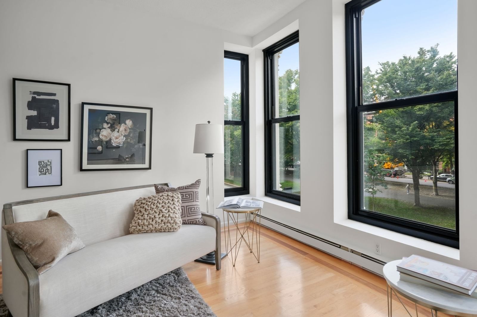 160 Commonwealth Avenue #218 Boston — Photo 4 of 28