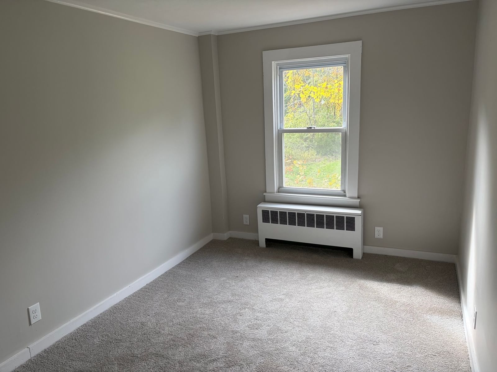 221 Aldrich Street Belchertown — Photo 10 of 30